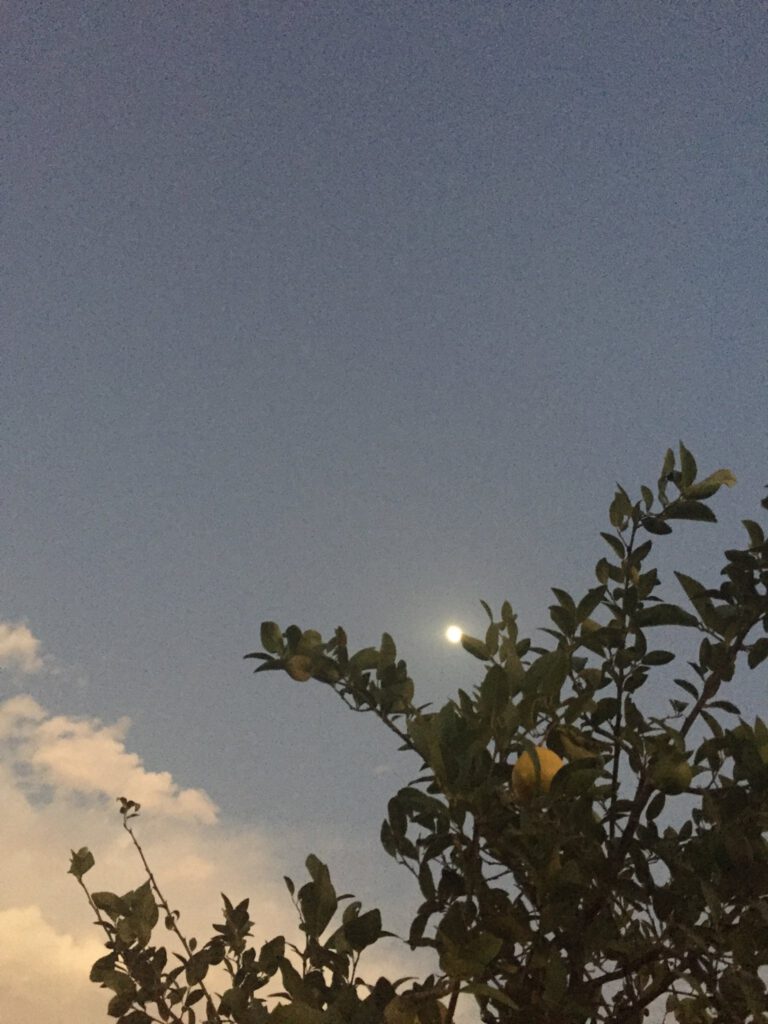 תחת אותם שמיים