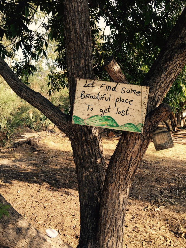 שיא הפאדיחה