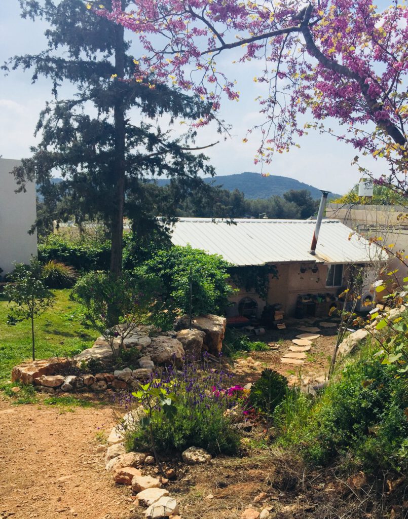 אני רוצה לחיות את החיים במלואם!